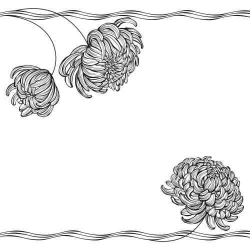菊花。矢量图 菊花波浪线白底文字空间