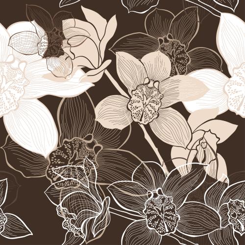 兰花。矢量图 褐色兰花