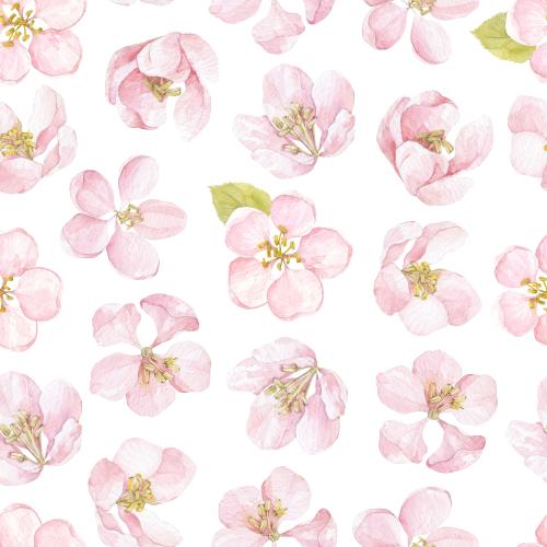 原创位图 水彩苹果树花朵白底