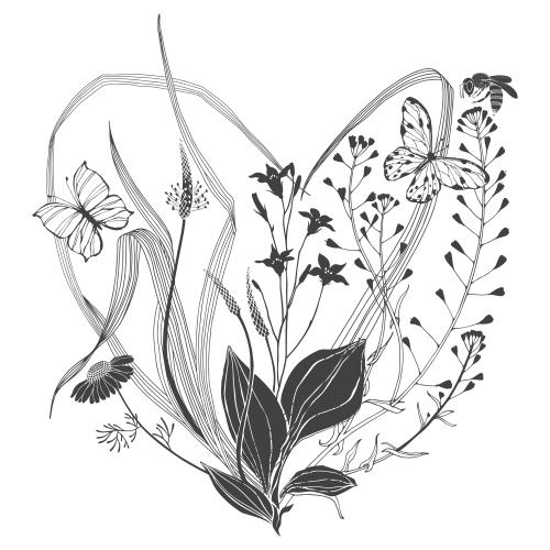 蜜蜂。矢量图 车前草、荠菜、洋甘菊、桔梗、芳草、白底上的蜜蜂和蝴蝶，组成心形