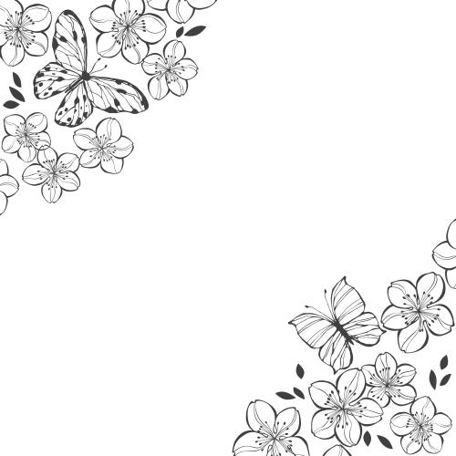 樱花。矢量图 樱花和蝴蝶，白色的文字区，边角构图