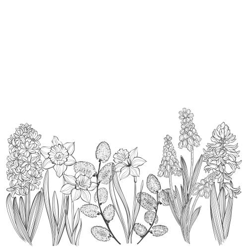 葡萄风信子。矢量图 春天花：葡萄风铃草、风信子、水仙花和柳枝，白底留白文字空间