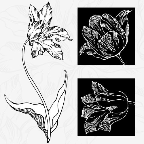 郁金香。矢量图 郁金香花与两个黑色方块碎片
