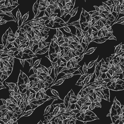 矢量图片 橙花，白色轮廓在黑色上
