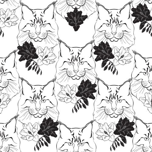 猫。矢量图 缅因猫猫脸和白色背景上的小苍兰花