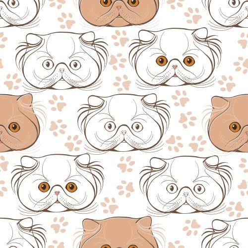 波斯猫。矢量图 波斯小猫咪，可爱的彩色小面孔和白色上的爪印
