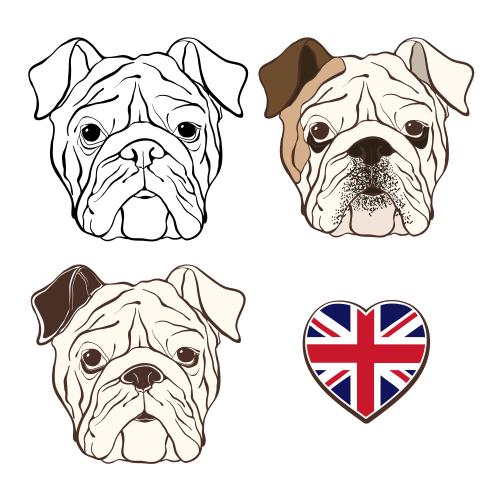 心形。矢量图 英国斗牛犬三种款式和心形英国国旗