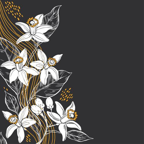 苦橙花油。矢量图 橙花波浪线黑色文本框