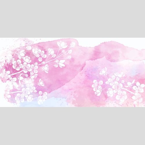 图像绽放的杏花枝条，水彩背景上的白色剪影