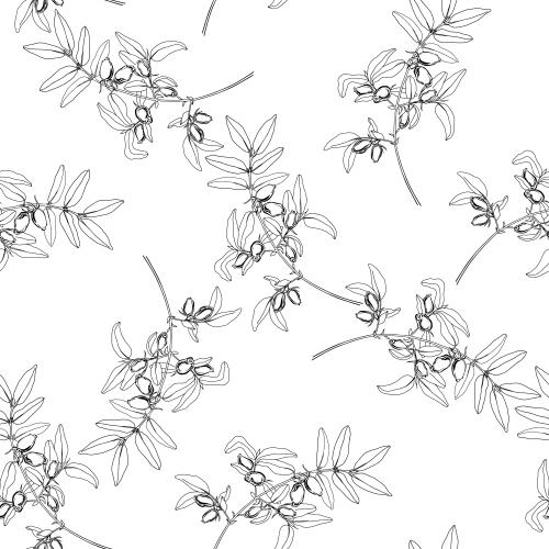 忍冬花。矢量图 白底忍冬带浆果枝条