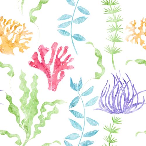 原创位图 水彩-水下植物-白色上的