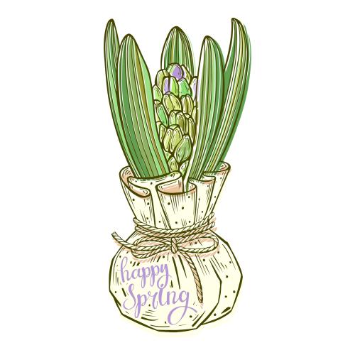 矢量图片 风信子白包装带蝴蝶结和印有文字“happy spring”