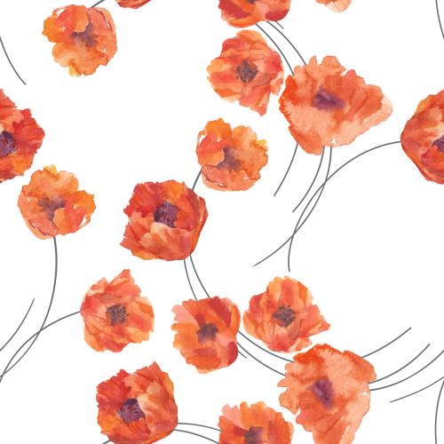 原创位图 水彩罂粟花