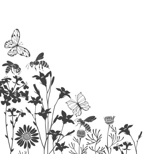蜜蜂。矢量图 蝴蝶、蜜蜂、草地花卉、文字空间、白色背景上的剪影