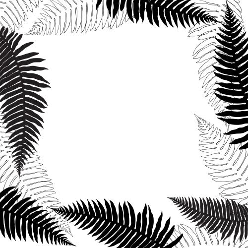 蕨类植物。矢量图 蕨叶留白