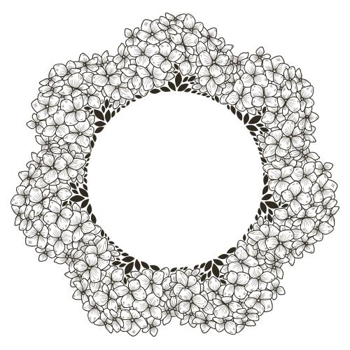 绣球花。矢量图 白色圆形绣球花花环