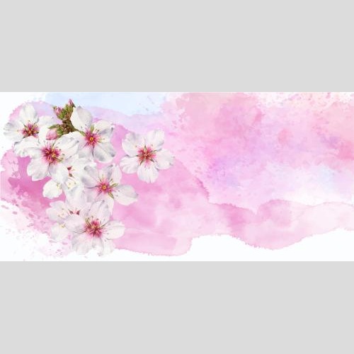 原创位图 粉色水彩背景上的杏花和文字空间