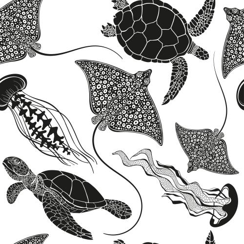 矢量图片 海龟、鳐鱼和水母在白色背景上