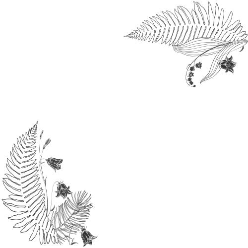 森林。矢量图 风铃草、铃兰、蕨叶、松枝与白色文案区