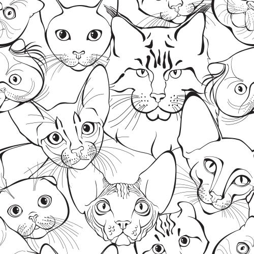 卷耳猫。矢量图 各种猫咪可爱小脸，白色背景