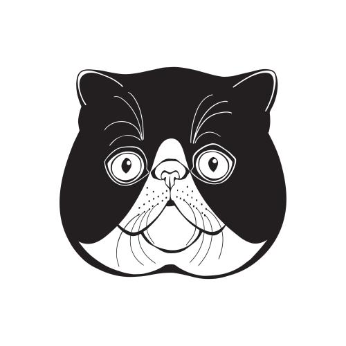 异国短毛猫。矢量图 异域猫咪，白色背景的可爱脸蛋