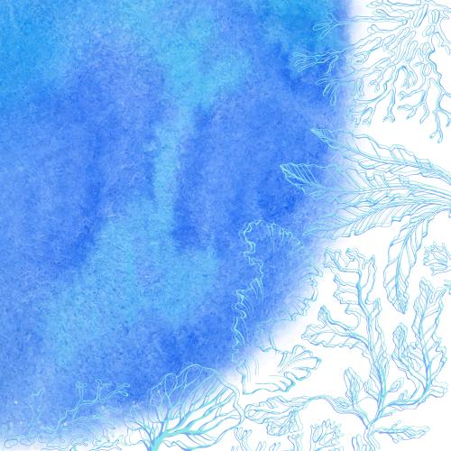 珊瑚。矢量图 海藻、珊瑚、蓝色水彩碎片带文本空间
