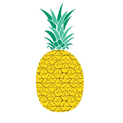 菠萝。矢量图 白底菠萝