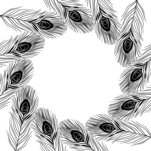 孔雀羽毛。矢量图 单色孔雀羽毛白底圆框