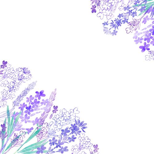 原创位图 水彩薰衣草，文字区域，白底角构图