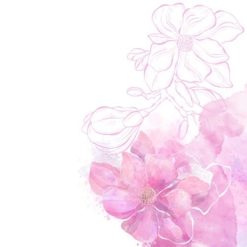 原创位图 粉色水彩木兰白底文字区