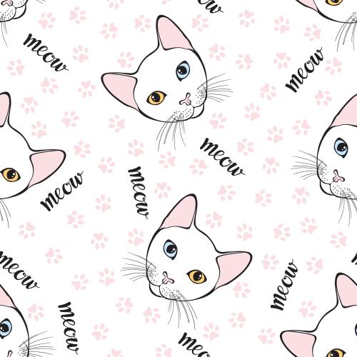 高曼猫。矢量图 卡通猫可爱脸部、爪印和‘meow’字母设计在白色背景上