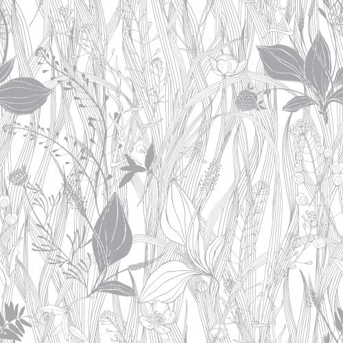 马齿苋。矢量图 田野花卉与青草、车前草、牧杖草叶、毛茛花、洋甘菊、车轴草于白色背景上
