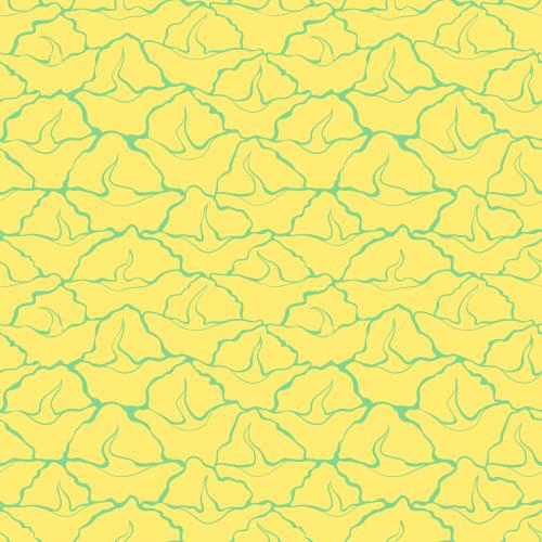菠萝。矢量图 菠萝表面碎片