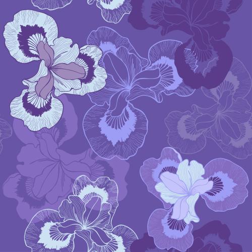 鸢尾花。矢量图 鲜紫色鸢尾花
