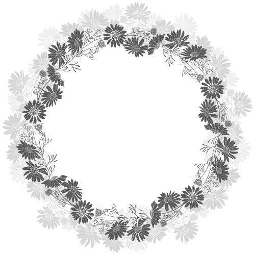 矢量图片 圆形雏菊花环相框，白底上的黑灰轮廓
