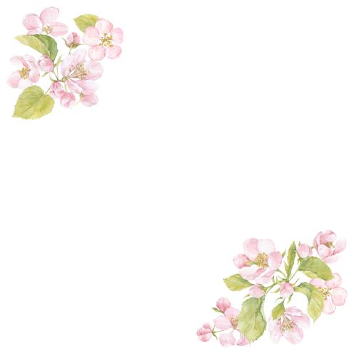 原创位图 水彩苹果花与叶留白文字角形构图