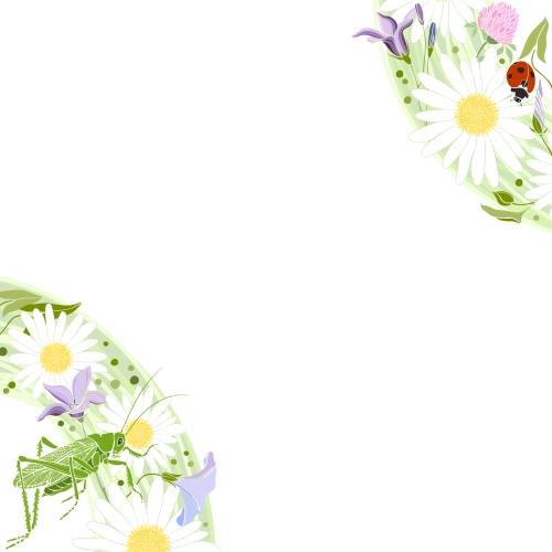 花卉。矢量图 花朵-蚱蜢-瓢虫-白底文本区-角落构图