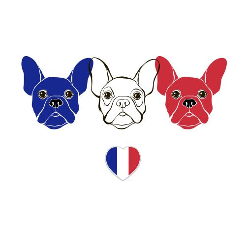 旗帜。矢量图 可爱的法国斗牛犬们的脸庞以法国国旗的颜色呈现，白色背景上的心形法国国旗