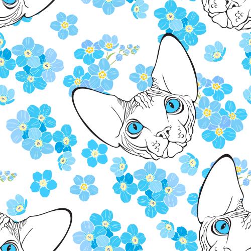 无毛猫。矢量图 无毛猫、可爱的面孔和勿忘我花在白色背景上
