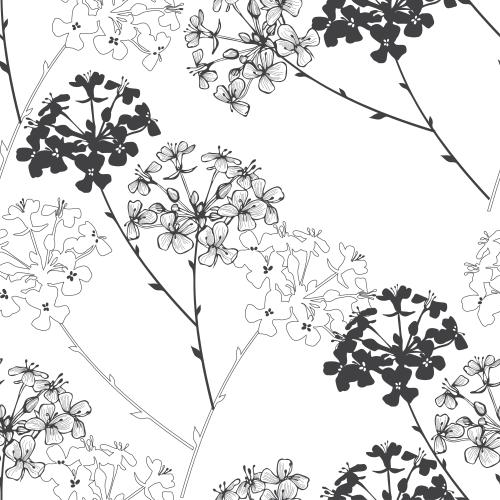 矢量图片 花朵、黑色轮廓及白色背景上的剪影