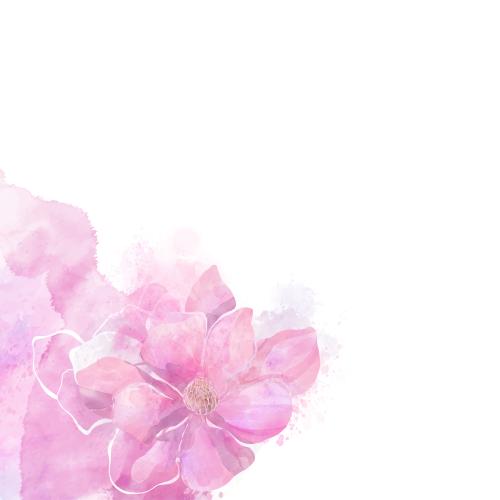 原创位图 粉彩背景上的木兰，白色文字区，角形构图