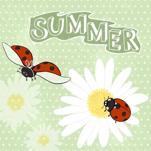 瓢虫。矢量图 卡通瓢虫图案，绿色背景上印有"Summer"字样和波点花纹