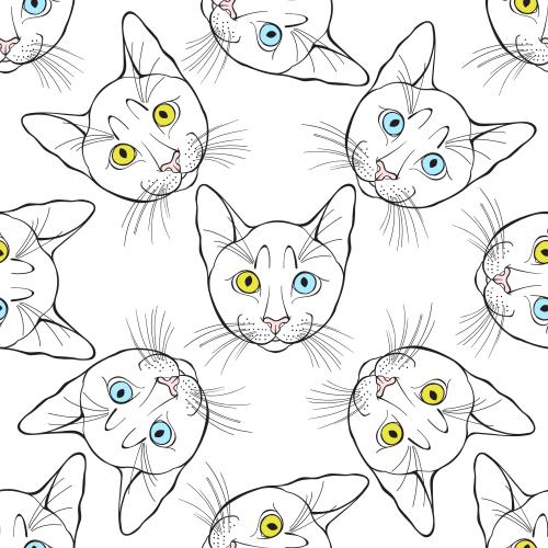 矢量图片 带彩色眼睛的可爱猫咪小脸 白色背景