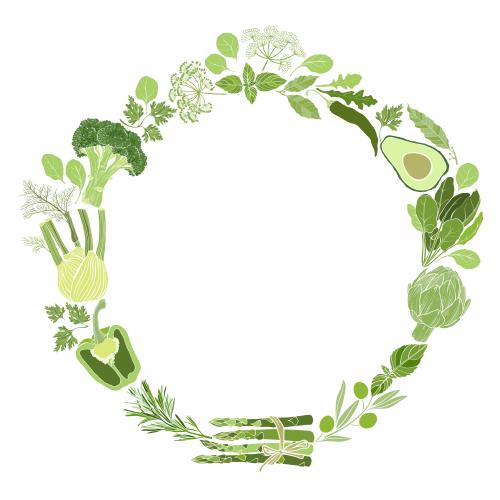 香料。矢量图 白底蔬菜香草圆形摆盘
