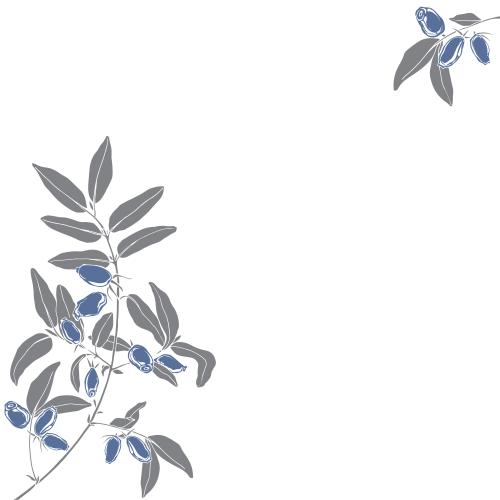 忍冬花。矢量图 金银花带浆果枝条，白色背景文字空间，角形构图