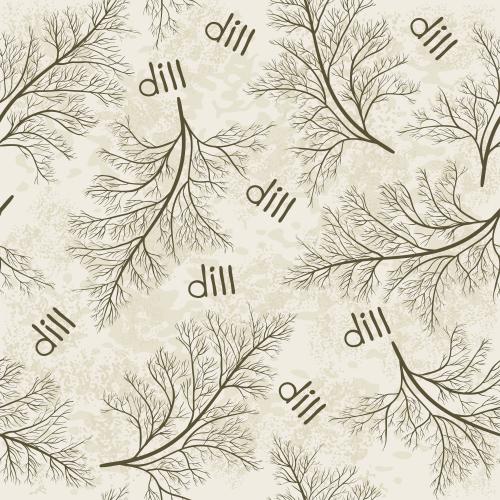 莳萝。矢量图 莳萝嫩枝配dill字样浅色纹理背景