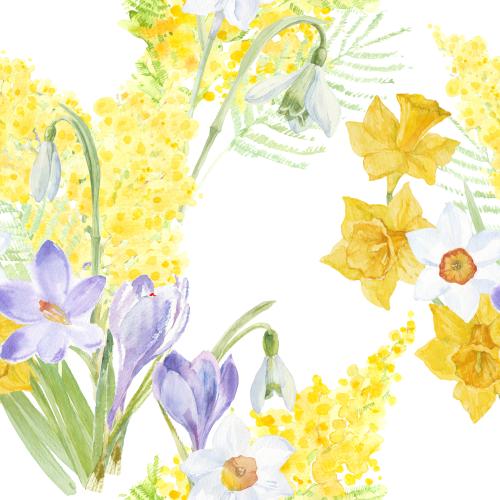 原创位图 银莲花、番红花、水仙花、雪花莲，白底水彩花