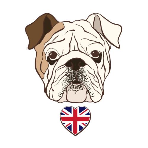 旗帜。矢量图 英国斗牛犬的头像和英国国旗组成的爱心形状