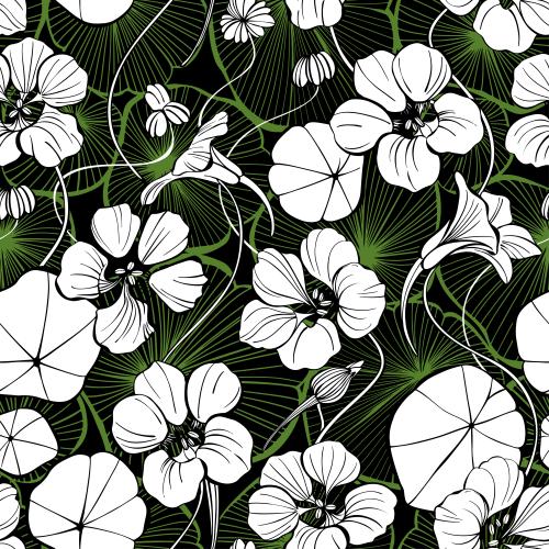 花苞。矢量图 旱金莲，白色剪影与绿叶轮廓底色