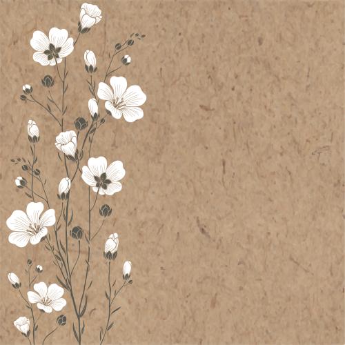 亚麻。矢量图 自然风亚麻枝条和花苞插画牛皮纸文本框